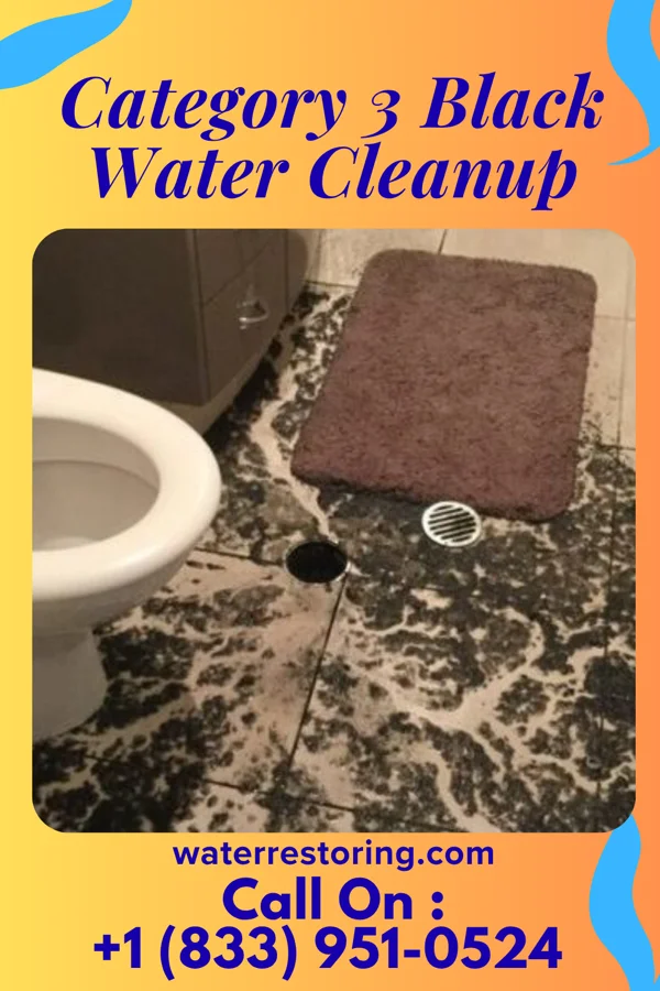 Category 3 Black Water Cleanup in Peever, SD
