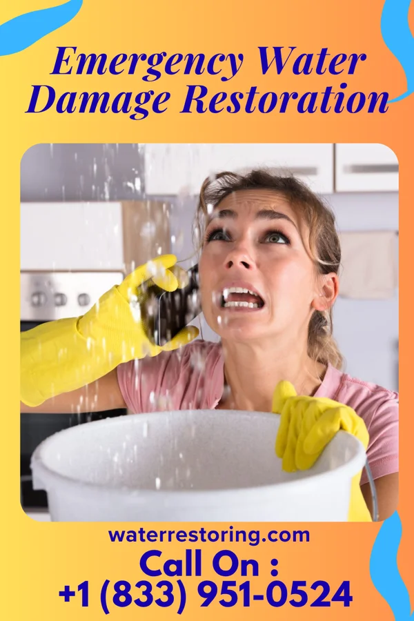 Emergency Water Damage Restoration in Peever, SD